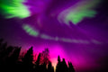 Fine Art Print 003 { { 003 }}