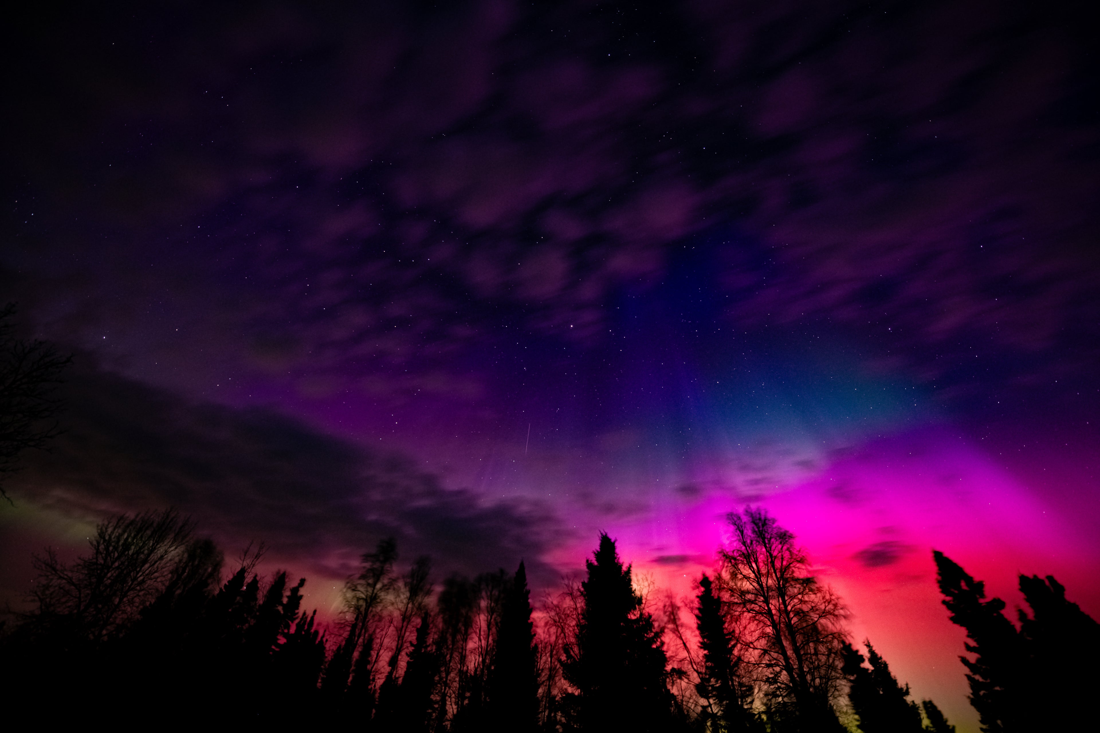 Fine Art Print 007 { { 007 }}