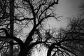 Fine Art Print 068 { { 068 }}