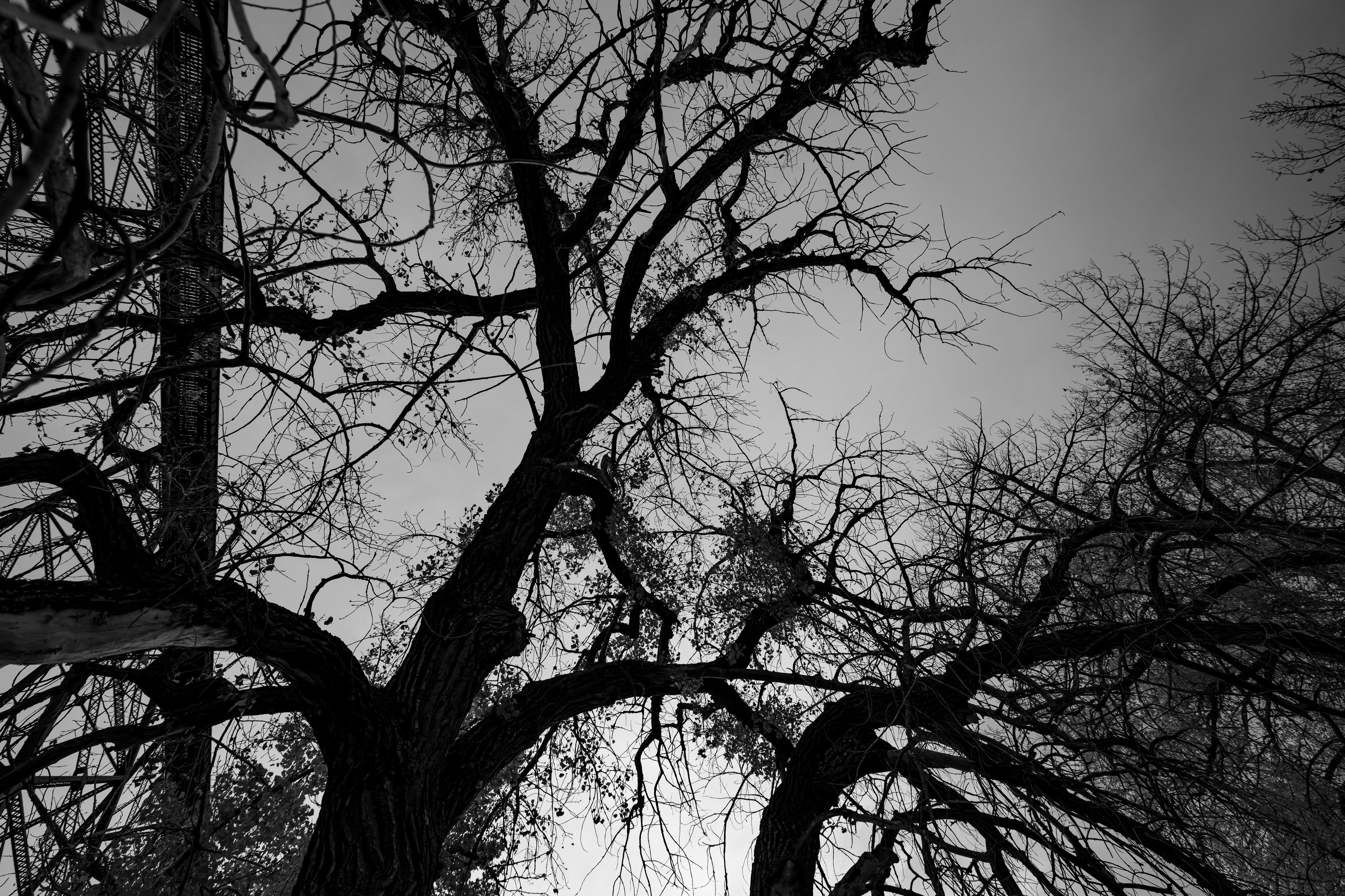 Fine Art Print 068 { { 068 }}