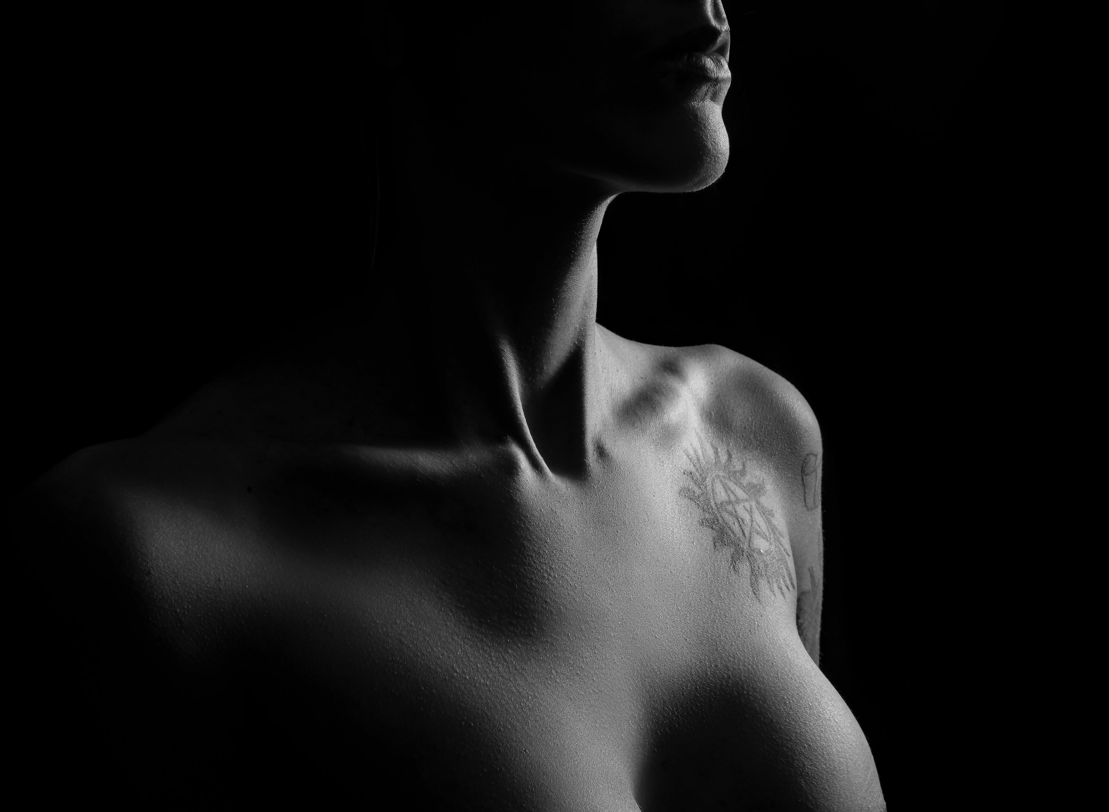 Fine Art Nude Print 015 { { NudeArtPrints-15 }}